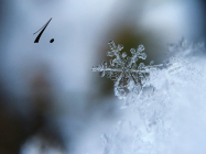 1. Dezember