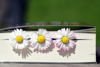 Alte Bekannte lesen sich in den Frühling