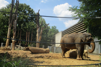 Zoo &amp; Co