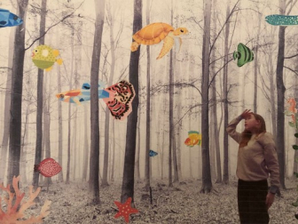 Nora Lienhardt - 10c