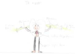 Johann Weichbrodt - 5a