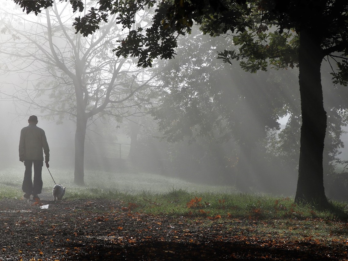 Hund_Mann_Nebel