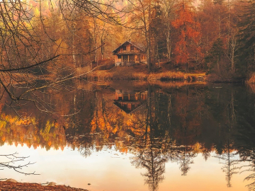 Haus