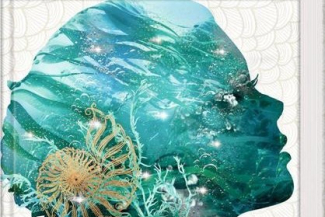 Neuanschaffungen Juni 2021
